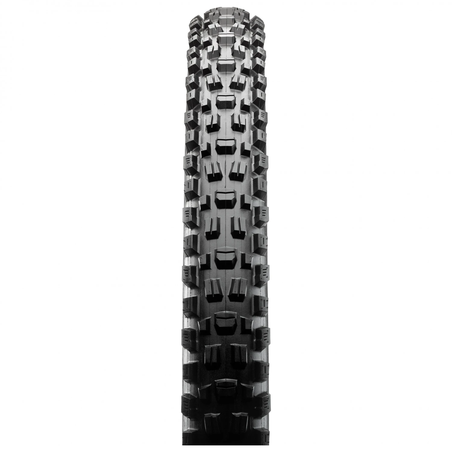 Maxxis - Assegai 27,5'' (66-584) 3C MaxxTerra EXO+ TR - Pneu De Vélo 2 Maxxis - Assegai 27,5'' (66-584) 3C MaxxTerra EXO+ TR - Pneu De Vélo – Image 2